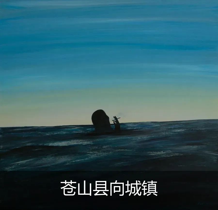 苍山县向城镇